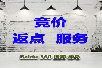 揭秘成功的关键词竞价排名背后的策略与执行